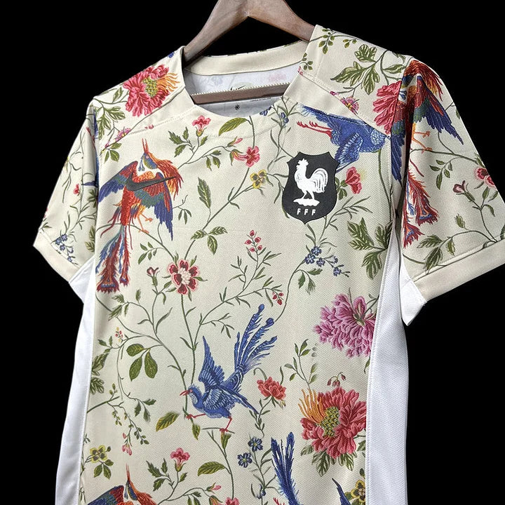 Maillot Équipe de France maillot foot concept 2023 2024